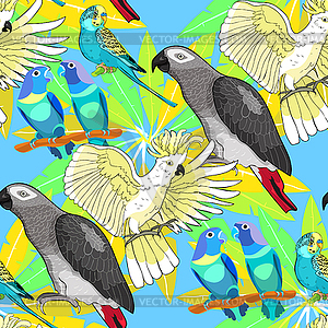 Seamless pattern Jaco, Lovebird, wavy parrot kakadu - vector clipart