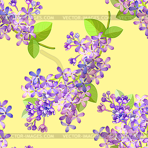 Seamless pattern Lilac branch flowers blooming - vector image