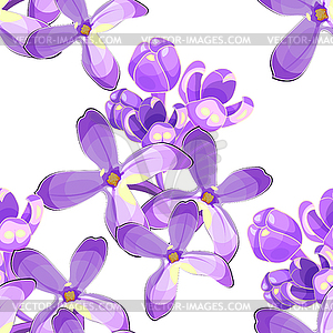 Seamless pattern Lilac branch flowers blooming - vector clip art