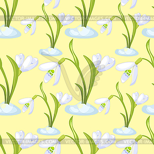 Seamless pattern snowdrop flower blossomed with - vector clip art