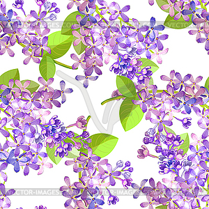 Seamless pattern Lilac branch flowers blooming - vector image