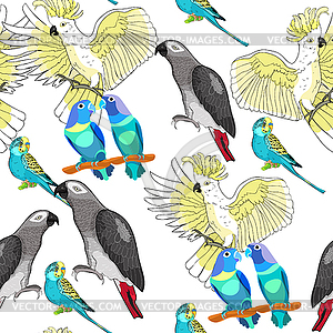 Seamless pattern Jaco, Lovebird, wavy parrot kakadu - vector image