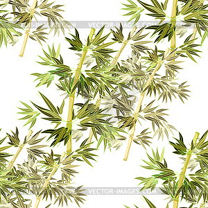 Seamless pattern Bamboo tree tropical china japan. - vector image