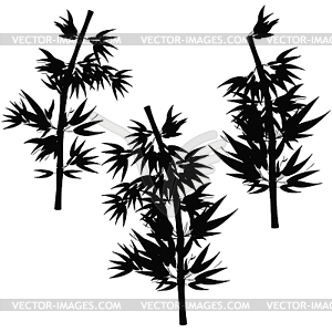 Set Bamboo tree tropical silhouette - vector clipart