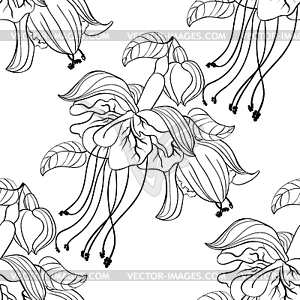 Seamless pattern Coloring fuchsia flower hybrid - vector clipart