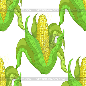 Seamless pattern Corn in cob with leaves. - vector image