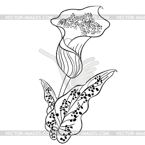 Coloring calla Picasso of flower - vector image