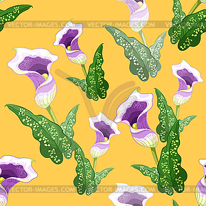 Seamless pattern calla Picasso flower purple. - vector image