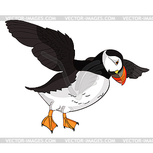 Птичий тупик Австралийская Атлантика в полете - векторизованное изображение