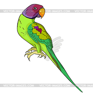 Indian ringed parrot ozherelovy parrot - vector clip art