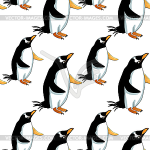 Seamless pattern Subantarctic penguin papuan - vector image