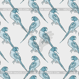 Бесшовный фон Индийский кольчатый попугай ожерелье - векторное изображение