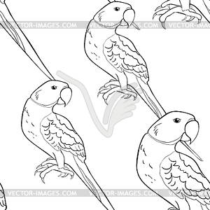 Seamless pattern coloring Indian ringed parrot - vector image