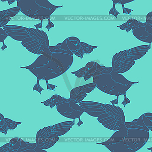 Seamless pattern Bird deadlock Australian Atlantic - vector clip art