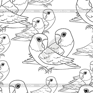 Бесшовный узор Маскированный раскраска Lovebird Parrot - векторизованный клипарт