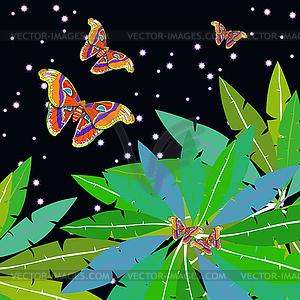 Бабочка Аттакус Атлас павлинья ладонь на звездном небе - изображение векторного клипарта