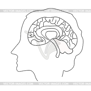 Coloring person profile of face brain - vector clipart / vector image