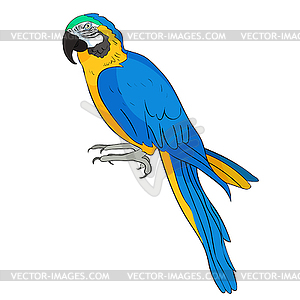Аравийский попугай желтовато-голубой араруны - векторный графический клипарт