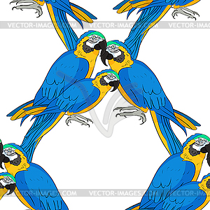 Seamless pattern Macaw parrot yellowish blue - vector image