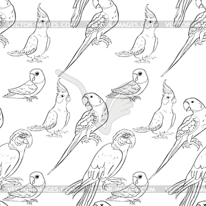 Coloring seamless pattern parrot ozherelovy, - vector clip art