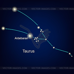 Созвездия телец-гороскопа - векторное изображение