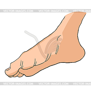 Foot male bottom out side - vector image