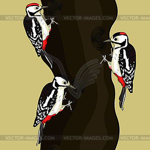 Male female great spotted woodpecker young on tree - vector image