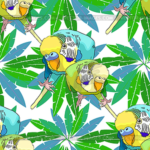 Seamless pattern Yellow face blue wavy parrot on - vector clipart