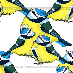 Seamless pattern blue tit plump bird, looking up. - vector image