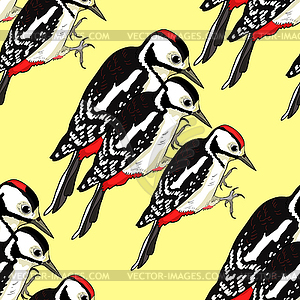 Seamless pattern great spotted woodpecker young. - vector image