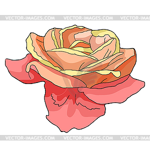 Red orange rose flower on side - vector image