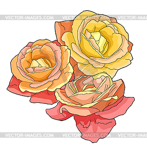 Red orange rose flower top - vector image