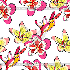 Бесшовные шаблон Гавайских plumeria цветок - векторный графический клипарт