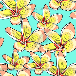 Seamless pattern Hawaiian plumeria flower an - vector clipart