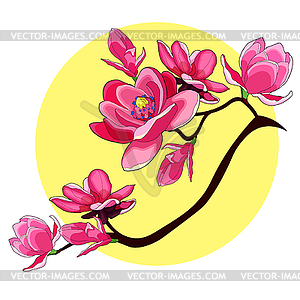 Branch magnolia flower red garden decorative - vector clipart