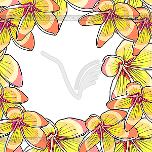 Гавайский цветок плюмерии экзотический - рисунок в векторе