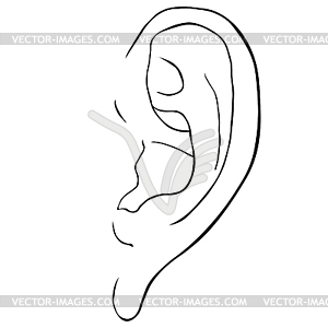 Coloring human ear frontal view - vector EPS clipart