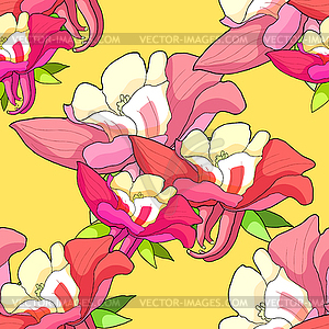 Seamless pattern aquilegia flower is blooming. - vector image