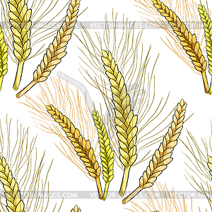 Seamless pattern mature of wheat close - vector clipart