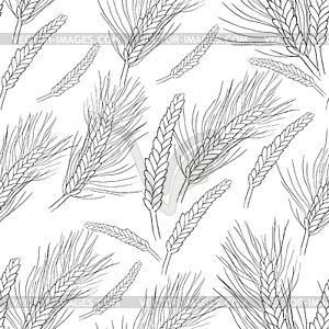 Seamless pattern mature of wheat coloring - vector image