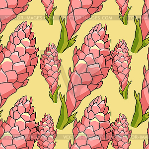 Seamless pattern Tropical flower of ginger Red - vector clip art