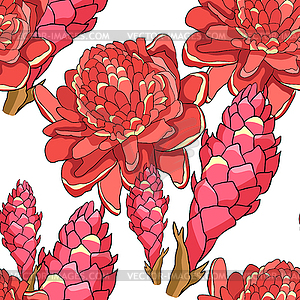 Бесшовные модели Тропический цветок имбирь Красный - векторное графическое изображение