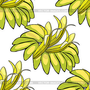 Seamless pattern banana india exotica - vector image