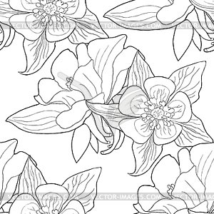 Seamless pattern aquilegia flower is blooming. - vector image