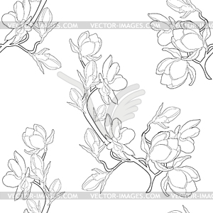 Seamless pattern coloring magnolia flower - vector clipart