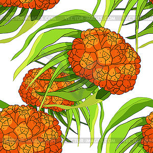 Seamless pattern pandan is an exotic fruit of - vector image