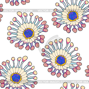 Seamless pattern osteospermum tropical flower. ill - stock vector clipart