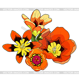 Sparakis is flower exotic - vector clipart