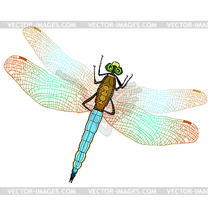 Orthetrum cancellatum dragonfly trellis, large blue - vector clipart