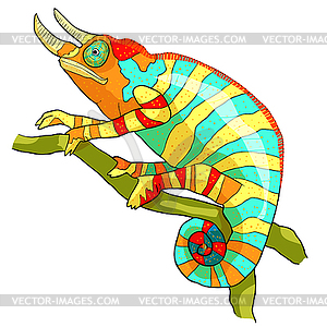 Chameleon male exotic reptile - color vector clipart